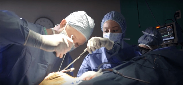 Surgeons performing a joint exploration