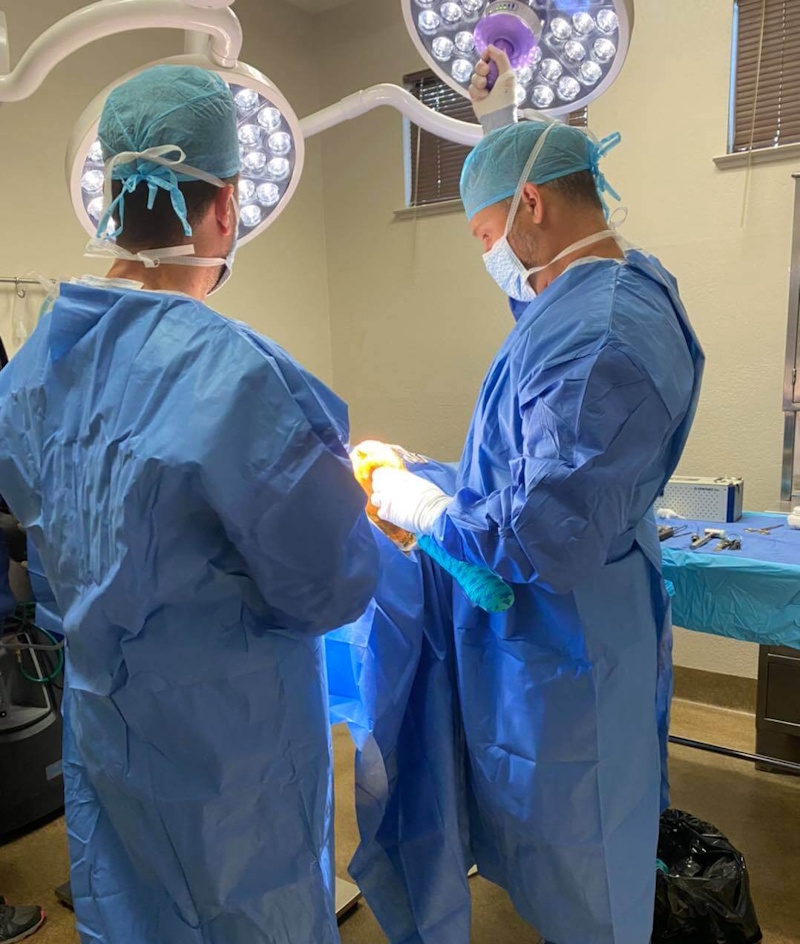 Veterinary student assisting a surgeon