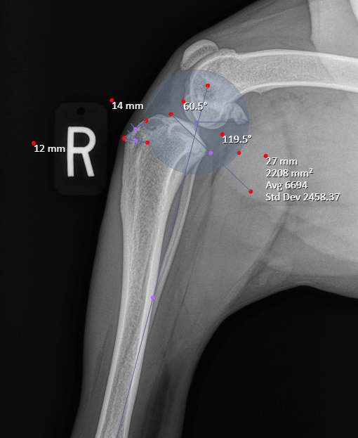 Radiograph of the side of the knee