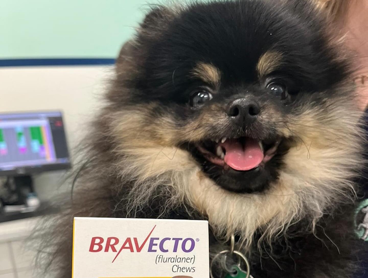Pet Prescription Refills