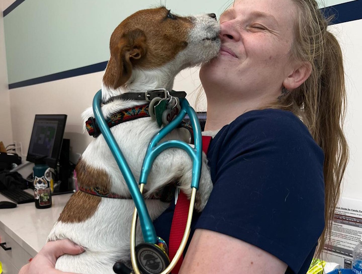 Cat & Dog Diagnosis