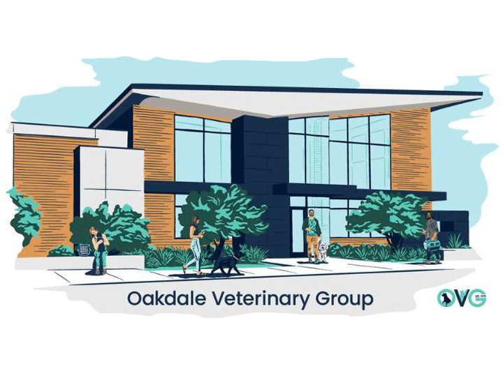 $city veterinary referrals