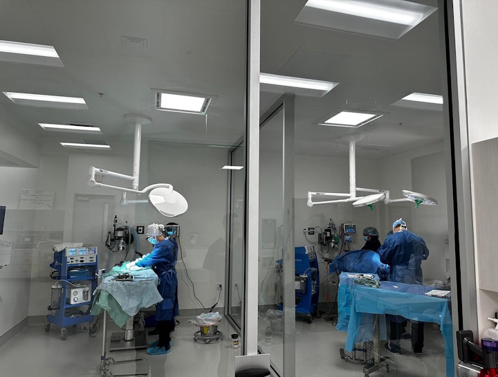 $City Veterinary Surgeries