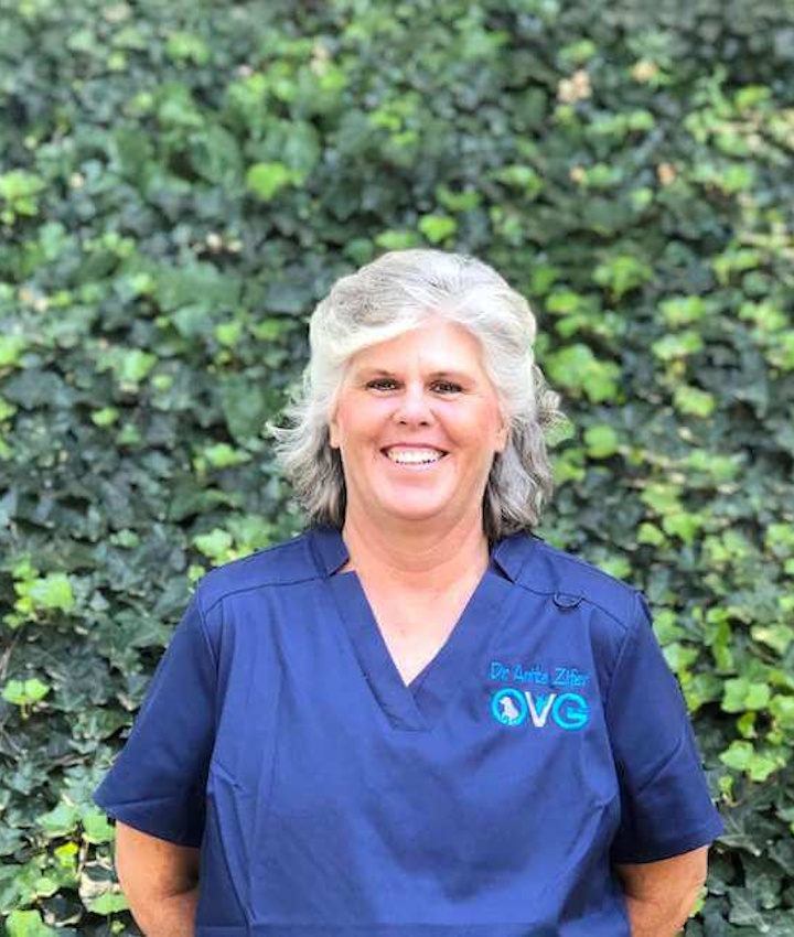 Dr. Anita Zifer