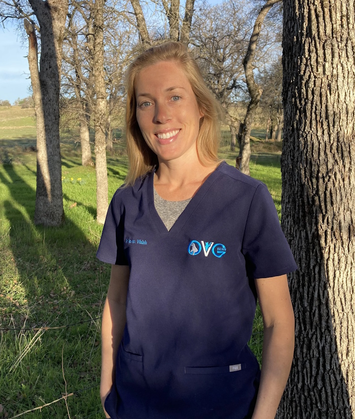 Dr. Jessica Walsh